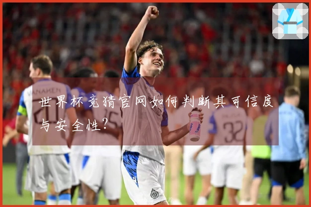 世界杯竞猜官网如何判断其可信度与安全性？