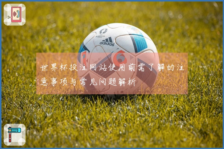 世界杯投注网站使用前需了解的注意事项与常见问题解析