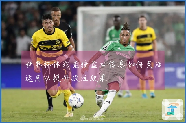 世界杯体彩竞猜盘口信息如何灵活运用以提升投注效果