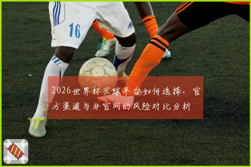 2026世界杯买球平台如何选择,官方渠道与非官网的风险对比分析